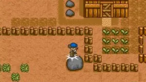 Harvest Moon screenshot 7