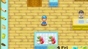 Harvest Moon: Friends of Mineral Town screenshot 5
