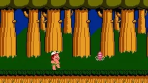 Hudson's Adventure Island screenshot 1