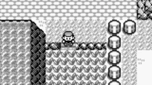 Pokémon Blue screenshot 3