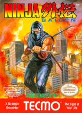 Ninja Gaiden Cover